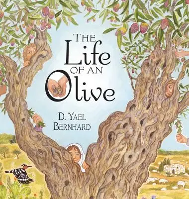 La vida de una aceituna - The Life of an Olive