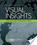 Visual Insights: Una guía práctica para dar sentido a los datos - Visual Insights: A Practical Guide to Making Sense of Data