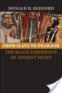 De esclavo a faraón: La experiencia negra del antiguo Egipto - From Slave to Pharaoh: The Black Experience of Ancient Egypt