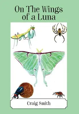 En alas de una luna - On The Wings of a Luna