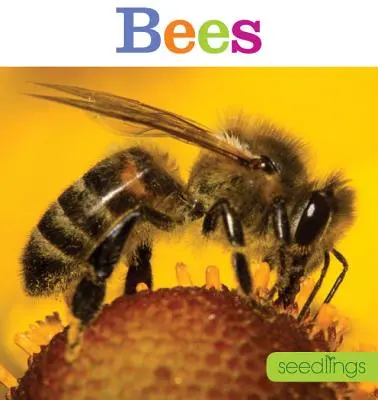 Semilleros: Abejas - Seedlings: Bees