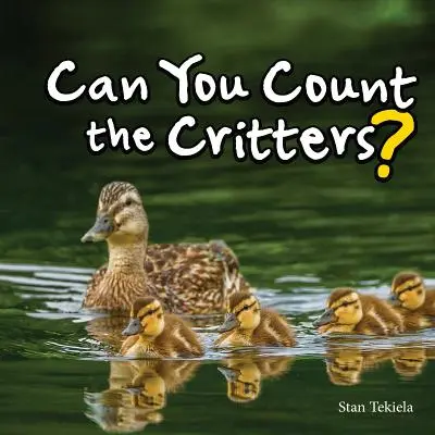 ¿Puedes contar los bichos? - Can You Count the Critters?