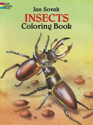 Libro para Colorear de Insectos - Insects Coloring Book