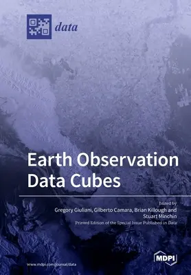 Cubos de datos de observación de la Tierra - Earth Observation Data Cubes