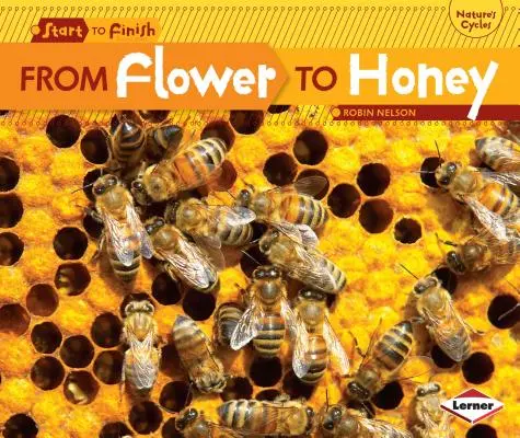 De flor a miel - From Flower to Honey