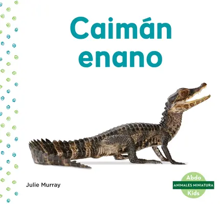 Caimn Enano (Caiman Enano) - Caimn Enano (Dwarf Caiman)