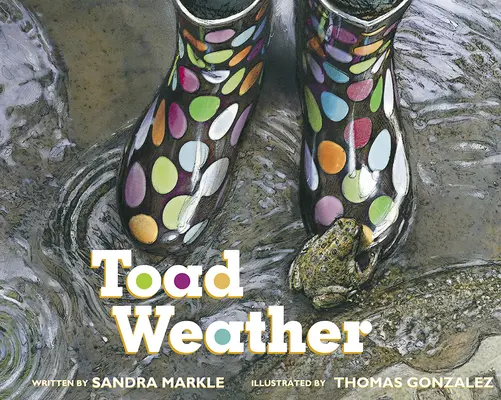 El tiempo de los sapos - Toad Weather