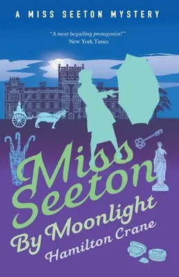 Miss Seeton a la luz de la luna - Miss Seeton by Moonlight