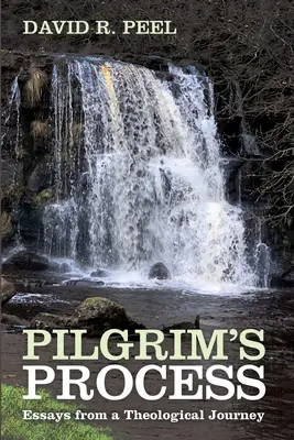 El proceso de Pilgrim - Pilgrim's Process