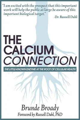 La conexión del calcio: La enzima poco conocida en la raíz de su salud celular - The Calcium Connection: The Little-Known Enzyme at the Root of Your Cellular Health