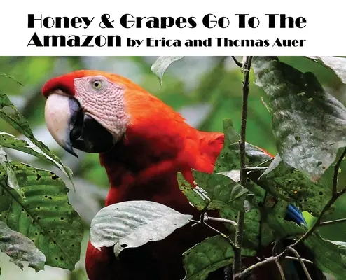 La miel y las uvas van al Amazonas - Honey & Grapes Go To The Amazon