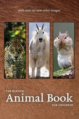 El Libro de los Animales de Burgess con nuevas imágenes en color - The Burgess Animal Book with new color images