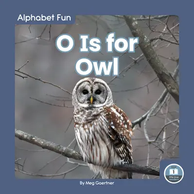 O de búho - O Is for Owl