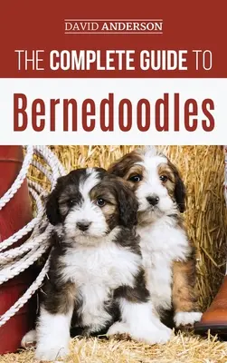 La guía completa de los Bernedoodles: ¡Todo lo que necesitas saber para criar con éxito a tu cachorro Bernedoodle! - The Complete Guide to Bernedoodles: Everything you need to know to successfully raise your Bernedoodle puppy!