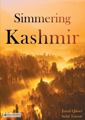 Cachemira a fuego lento - Simmering Kashmir