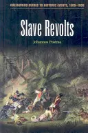 Revueltas de esclavos - Slave Revolts