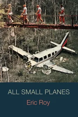 Todos los pequeños aviones - All Small Planes