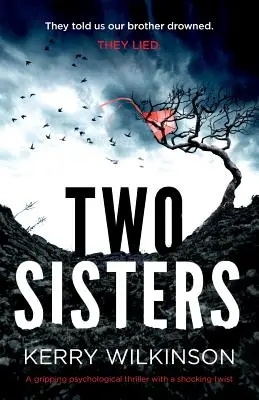 Dos hermanas: Un apasionante thriller psicológico con un giro inesperado - Two Sisters: A gripping psychological thriller with a shocking twist