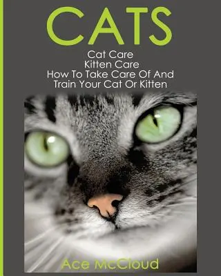 Gatos: Cuidado del gato: Cuidado de los gatitos: Cómo cuidar y adiestrar a su gato o gatito - Cats: Cat Care: Kitten Care: How To Take Care Of And Train Your Cat Or Kitten