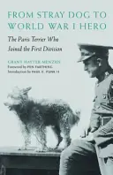 De perro callejero a héroe de la Primera Guerra Mundial: el Terrier de París que se unió a la Primera División - From Stray Dog to World War I Hero: The Paris Terrier Who Joined the First Division