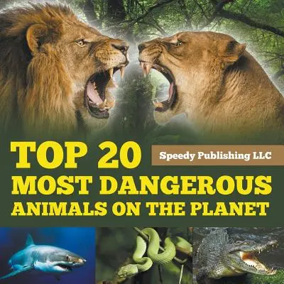 Los 20 animales más peligrosos del planeta - Top 20 Most Dangerous Animals On The Planet