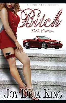 Bitch el Comienzo - Bitch the Beginning