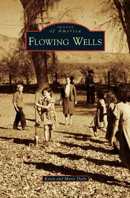 Pozos fluidos - Flowing Wells