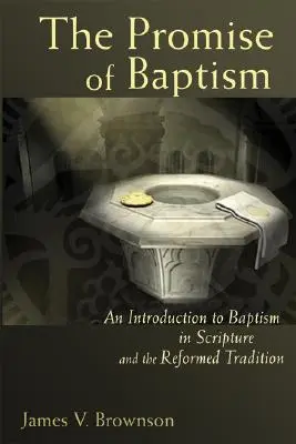 La promesa del bautismo: Una introducción al bautismo en las Escrituras y la tradición reformada - Promise of Baptism: An Introduction to Baptism in Scripture and the Reformed Tradition