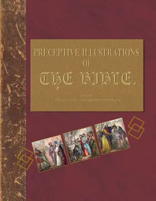 Ilustraciones Preceptivas de la Biblia: Comprender la Biblia a través de un diario tutorial - Preceptive Illustrations of the Bible: Understanding the Bibles Through a Tutorial Journal