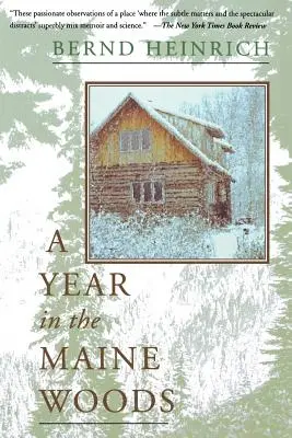 Un año en los bosques de Maine - A Year in the Maine Woods