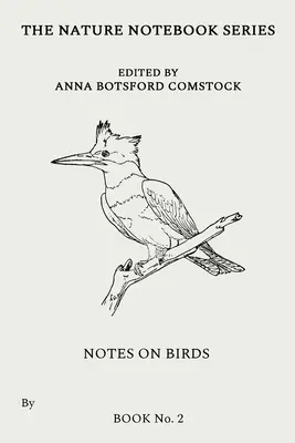 Notas sobre aves 2 - Notes on Birds 2