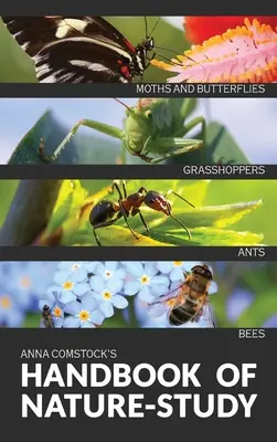 Manual para el estudio de la naturaleza en color - Insectos - The Handbook Of Nature Study in Color - Insects