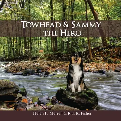 Towhead y Sammy El Héroe - Towhead and Sammy The Hero