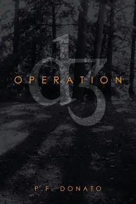 Operación D3 - Operation D3