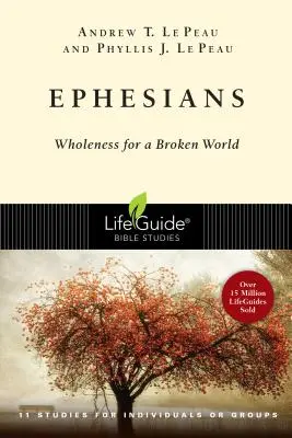 Efesios: Plenitud para un mundo roto - Ephesians: Wholeness for a Broken World