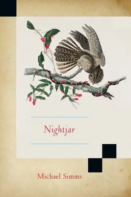 Guabairo - Nightjar