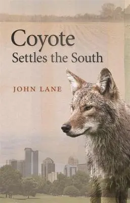 El coyote se instala en el sur - Coyote Settles the South