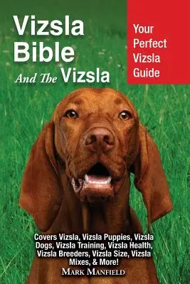 La Biblia del Vizsla Y el Vizsla: Su Guía Perfecta Vizsla Cubre Vizsla, Cachorros Vizsla, Perros Vizsla, Entrenamiento Vizsla, Salud Vizsla, Criadores Vizsla, - Vizsla Bible And the Vizsla: Your Perfect Vizsla Guide Covers Vizsla, Vizsla Puppies, Vizsla Dogs, Vizsla Training, Vizsla Health, Vizsla Breeders,