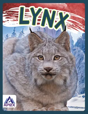 Linces - Lynx