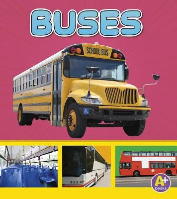 Autobuses - Buses