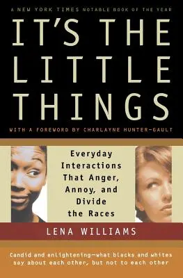 Los pequeños detalles: Interacciones cotidianas que enfadan, molestan y dividen a las razas - It's the Little Things: Everyday Interactions That Anger, Annoy, and Divide the Races