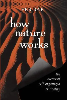Cómo funciona la naturaleza: La ciencia de la criticidad autoorganizada - How Nature Works: The Science of Self-Organized Criticality