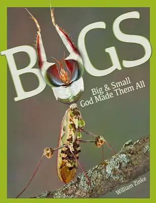 Bichos grandes y pequeños: Dios los hizo a todos - Bugs Big & Small: God Made Them All