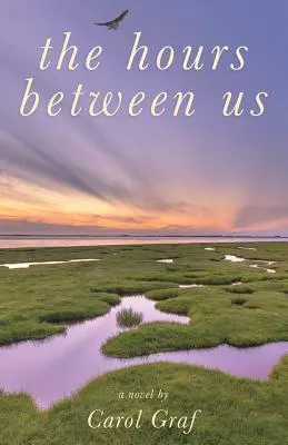 Las horas entre nosotros - The Hours Between Us