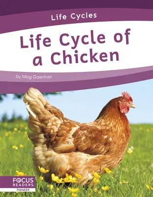 Ciclo de vida del pollo - Life Cycle of a Chicken