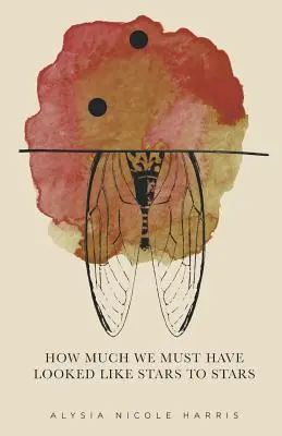 Cuánto nos habremos parecido las estrellas a las estrellas: Ganadora de la serie 2015 New Women's Voices - How Much We Must Have Looked Like Stars To Stars: Winner of the 2015 New Women's Voices Series