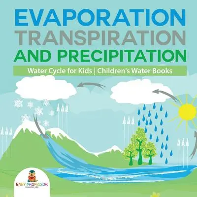 Evaporación, transpiración y precipitación - Ciclo del agua para niños - Libros infantiles sobre el agua - Evaporation, Transpiration and Precipitation - Water Cycle for Kids - Children's Water Books
