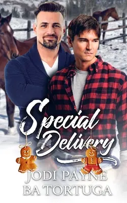 Entrega especial: Una novela de vacaciones arruinadas - Special Delivery: A Wrecked Holiday Novel