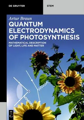 Electrodinámica cuántica de la fotosíntesis - Quantum Electrodynamics of Photosynthesis
