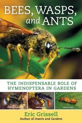 Abejas, avispas y hormigas: El indispensable papel de los himenópteros en los jardines - Bees, Wasps, and Ants: The Indispensable Role of Hymenoptera in Gardens